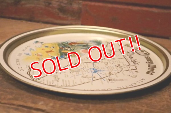 画像9: ct-240301-09 Walt Disney World / 1970's Serving Tin Tray