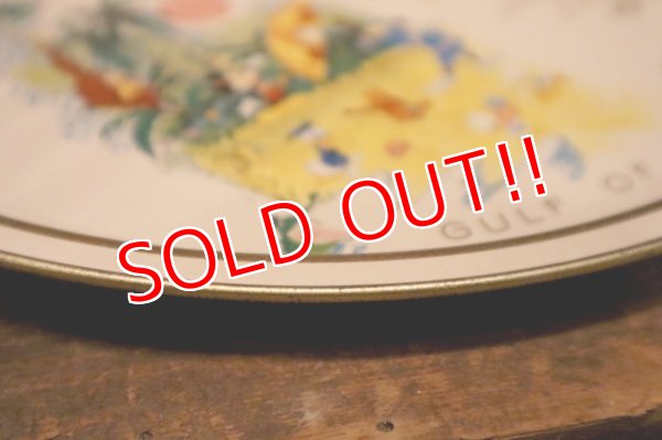 画像8: ct-240301-09 Walt Disney World / 1970's Serving Tin Tray