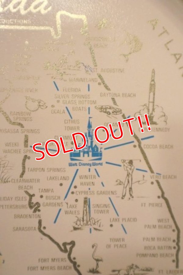 画像4: ct-240301-09 Walt Disney World / 1970's Serving Tin Tray