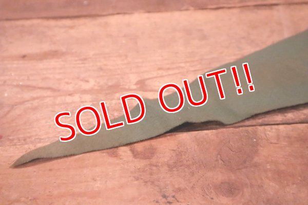 画像7: dp-240301-36 ARIZONA / Indian Head Souvenir Pennant