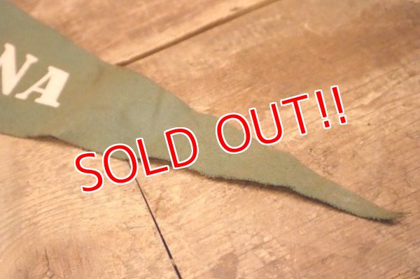 画像4: dp-240301-36 ARIZONA / Indian Head Souvenir Pennant