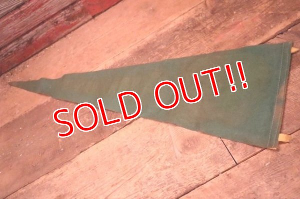 画像6: dp-240301-36 ARIZONA / Indian Head Souvenir Pennant