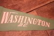 画像4: dp-240301-18 WASHINGTON D.C. / Indian Head Souvenir Pennant