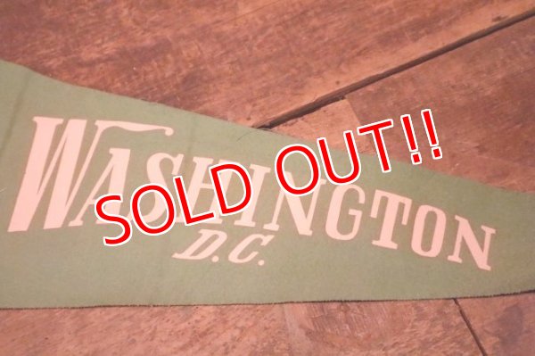 画像4: dp-240301-18 WASHINGTON D.C. / Indian Head Souvenir Pennant