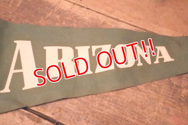 画像3: dp-240301-36 ARIZONA / Indian Head Souvenir Pennant