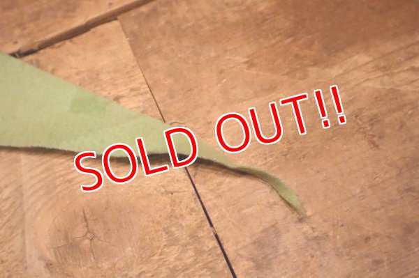 画像5: dp-240301-18 WASHINGTON D.C. / Indian Head Souvenir Pennant