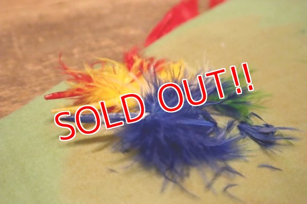 画像8: dp-240301-18 WASHINGTON D.C. / Indian Head Souvenir Pennant