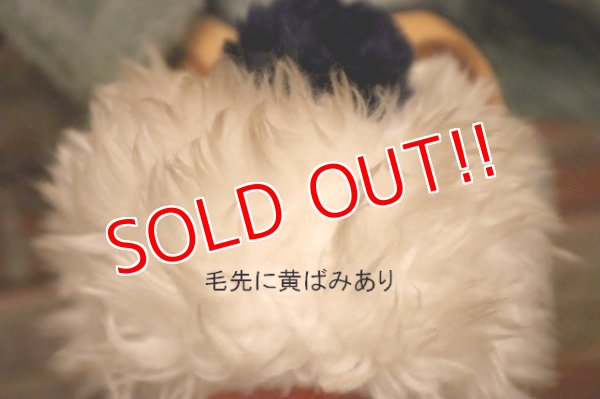 画像5: ct-240214-122 Lady and the Tramp / 1970's Plush Doll Set