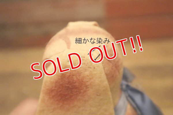 画像10: ct-240301-25 University of Notre Dame / Collegiate 1950's Mascot Doll "PEPPY"