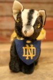 画像2: ct-240311-11 University of Notre Dame / Collegiate 1950's Mascot Doll "Wee STINKER"