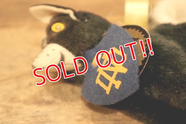 画像6: ct-240311-11 University of Notre Dame / Collegiate 1950's Mascot Doll "Wee STINKER"