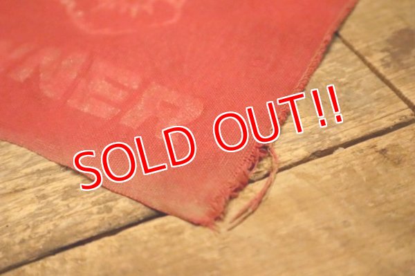 画像9: dp-240301-37 Safety Red Flag