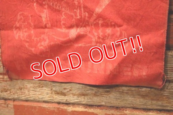 画像4: dp-240301-37 Safety Red Flag