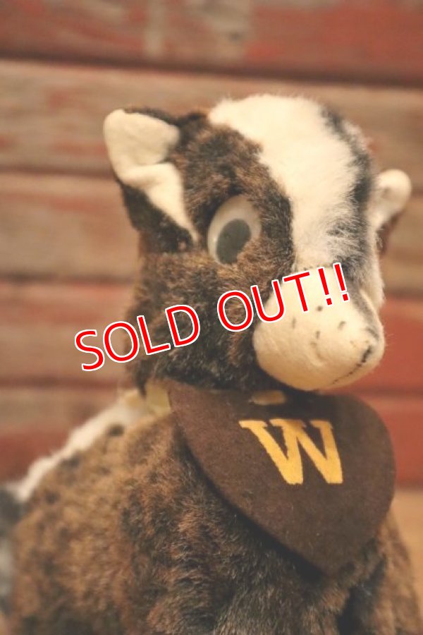 画像2: ct-240311-11 Collegiate 1950's College Mascot Doll "W"