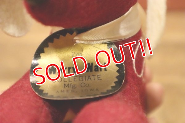 画像6: ct-240311-11 Collegiate 1950's College Mascot Doll "Cornell"