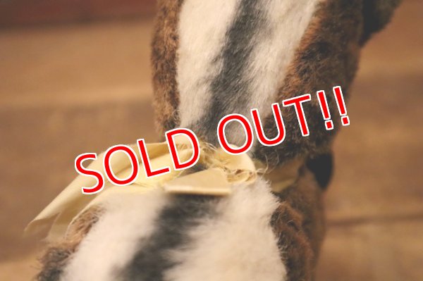 画像9: ct-240311-11 Collegiate 1950's College Mascot Doll "W"