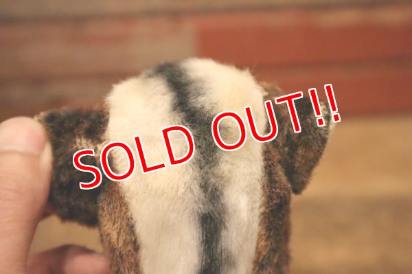 画像10: ct-240311-11 Collegiate 1950's College Mascot Doll "W"