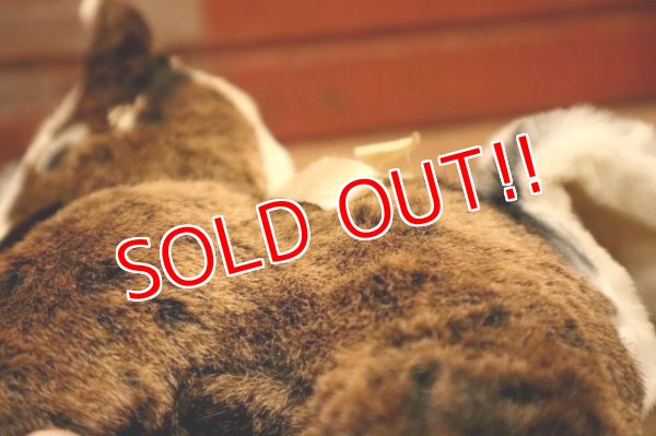 画像8: ct-240311-11 Collegiate 1950's College Mascot Doll "W"