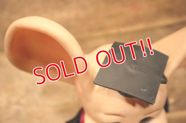 画像9: ct-240605-17 HURON PRODUCTS CO. / 1970's Roy Des of Florida Mouse Bank "Grad"