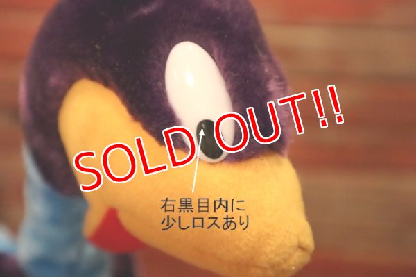 画像3: ct-240611-05 Road Runner / MIGHTY STAR 1992 Plush Doll