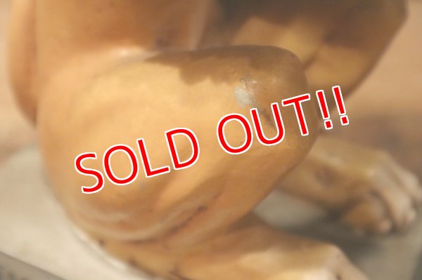 画像7: ct-240718-06 LOWEWNBRAU / 1970's Lion Bar Display