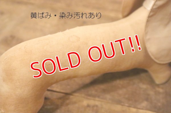 画像8: ct-240311-11 1950's College Mascot Dachshund Doll "D"