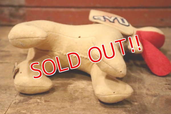 画像10: ct-240311-11 Collegiate 1950's  College Mascot Doll "BYU"