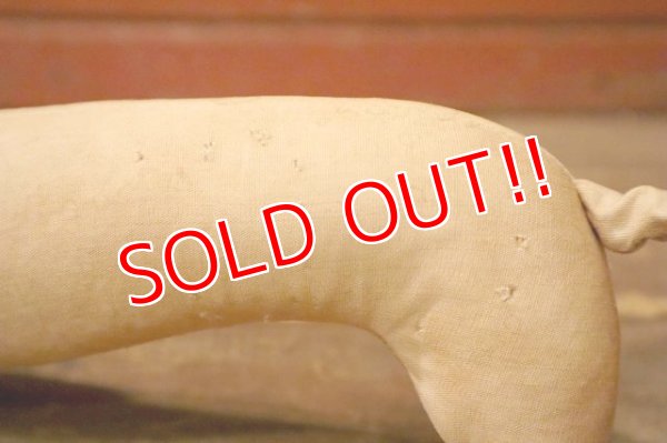 画像7: ct-240311-11 1950's College Mascot Dachshund Doll "D"