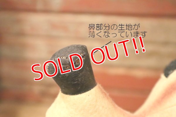 画像6: ct-240311-11 Collegiate 1950's  College Mascot Doll "BYU"