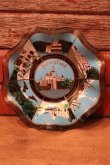 画像1: dp-240611-16 Disneyland / Vintage Souvenir Glass Tray