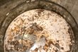 画像9: dp-240814-39 MAXWELLHOUSE COFFEE 1950's Tin Can