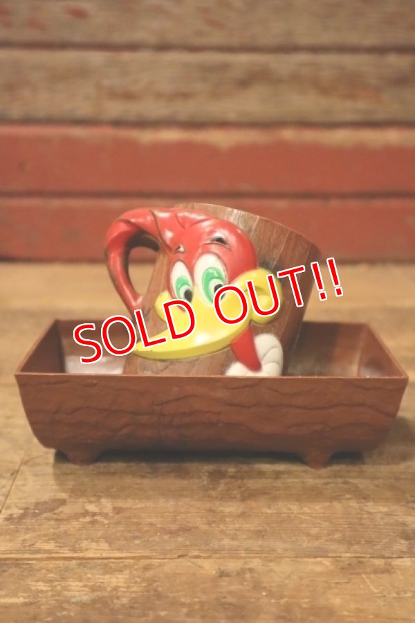 画像1: ct-240911-05 Woody Woodpecker / 1960's Plastic Mug & Bowl Set (D)