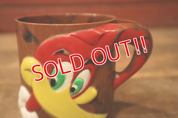 画像4: ct-240911-05 Woody Woodpecker / 1960's Plastic Mug & Bowl Set (D)