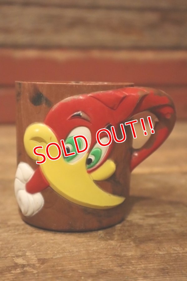 画像3: ct-240911-05 Woody Woodpecker / 1960's Plastic Mug & Bowl Set (D)