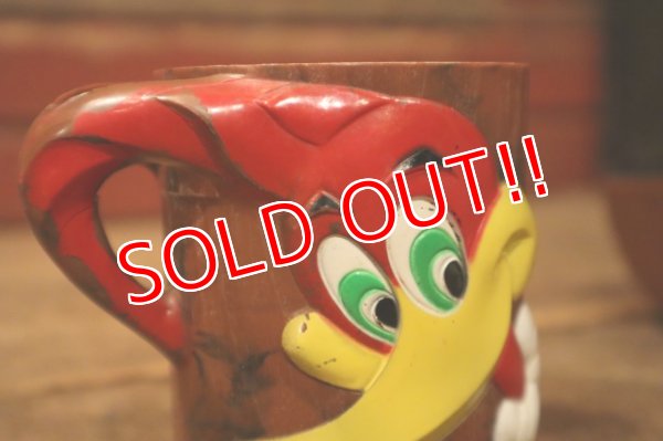 画像5: ct-240911-05 Woody Woodpecker / 1960's Plastic Mug & Bowl Set (D)