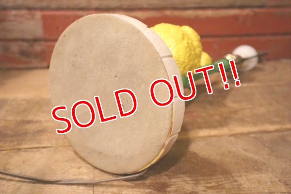 画像15: ct-240920-02 SESAME STREET / AMERICAN FAMILY 1979 BIG BIRD MUPPET LAMP