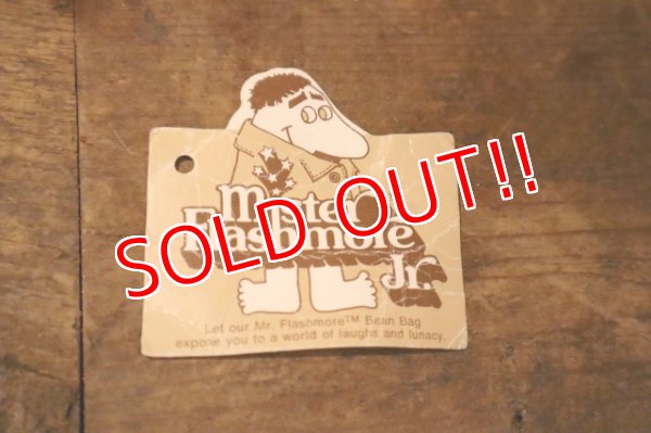 画像9: ct-241008-97 Mister Flashmore Jr. / Wallace Berrie 1977 Doll