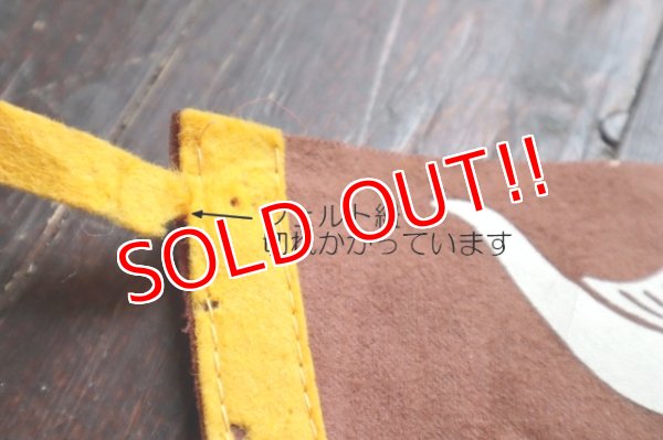 画像9: ct-241027-01 BATMAN & ROBIN / 1966 Pennant