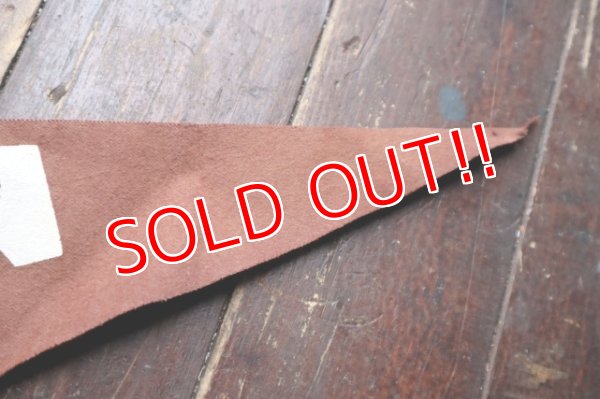 画像7: ct-241027-01 BATMAN & ROBIN / 1966 Pennant