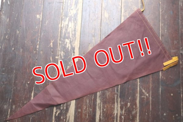 画像10: ct-241027-01 BATMAN & ROBIN / 1966 Pennant