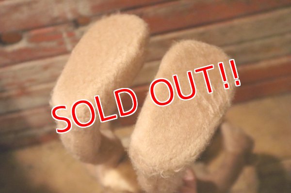 画像9: ct-241008-51 Wile E. Coyote / MIGHTY STAR 1970's Plush Doll