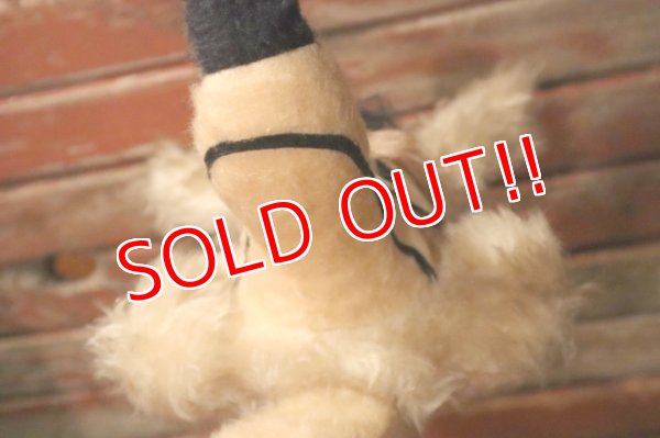 画像3: ct-241008-51 Wile E. Coyote / MIGHTY STAR 1970's Plush Doll