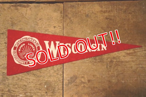 画像1: dp-241106-29 UNIVERSITY OF WISCONSIN /  Vintage Mini Pennant