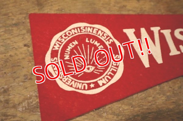 画像2: dp-241106-29 UNIVERSITY OF WISCONSIN /  Vintage Mini Pennant