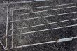 画像11: dp-240911-70 Unknown "TAKE AN Eagle PLAYBALL HOME" Wire Rack