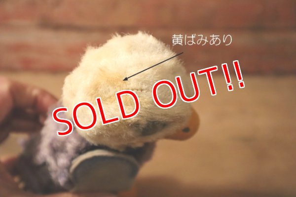 画像7: ct-250107-11 U.S. AIR FORCE ACADEMY / 1960's Mascot Doll