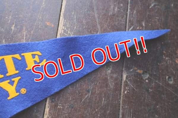 画像4: dp-241106-26 SAN JOSE STATE UNIVERSITY Vintage Pennant