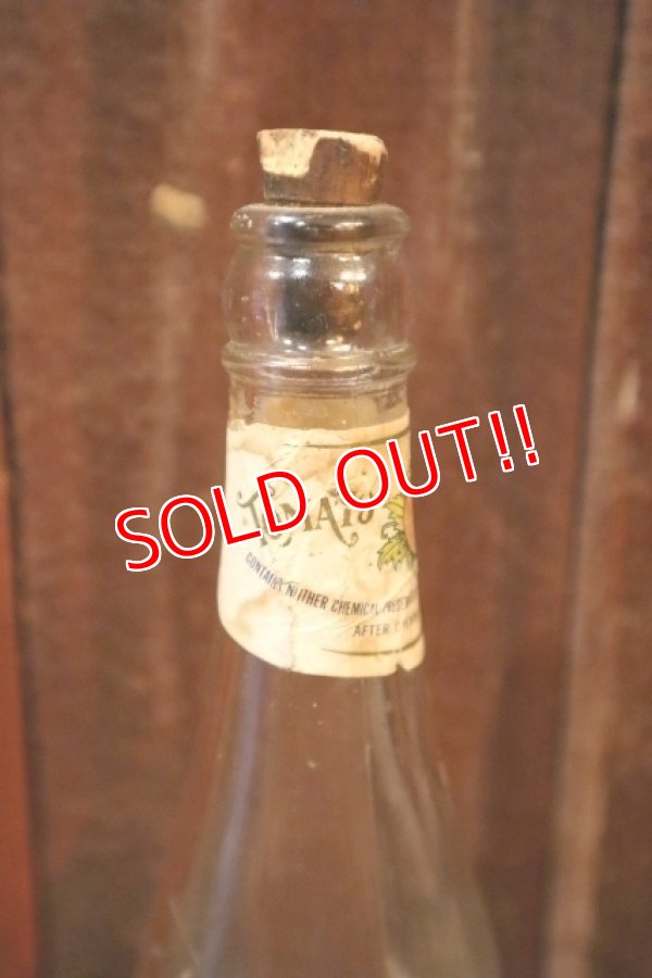 画像5: dp-250205-77 THE H.D. LEE MERCANTILE CO. SUMMER GIRL BRAND CATSUP BOTTLE