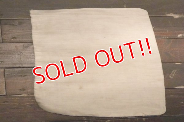 画像6: dp-250205-77 THE H.D. LEE MERCANTILE COMPANY TABLE SALT SACK