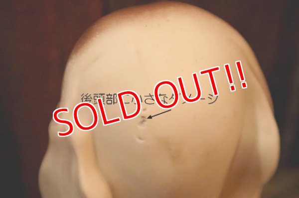 画像7: ct-250205-30 KAYSAM 1950's SAD DOG SQUEAKY DOLL